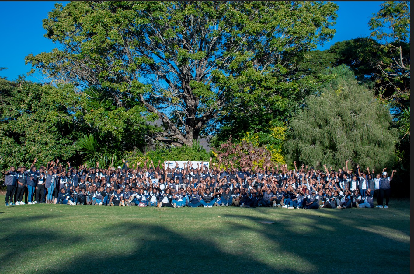 Team Building Activity